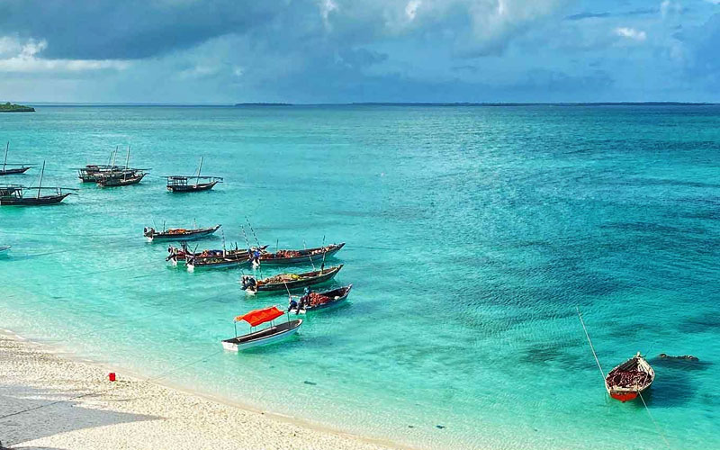 Safari Blue Beach